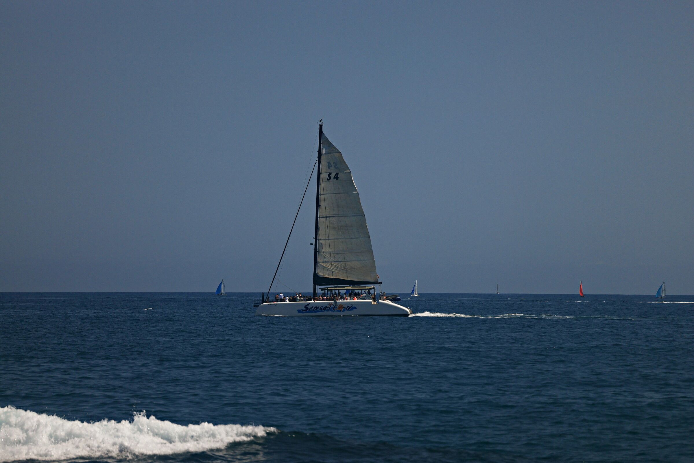 Sensation — Open water, 2026